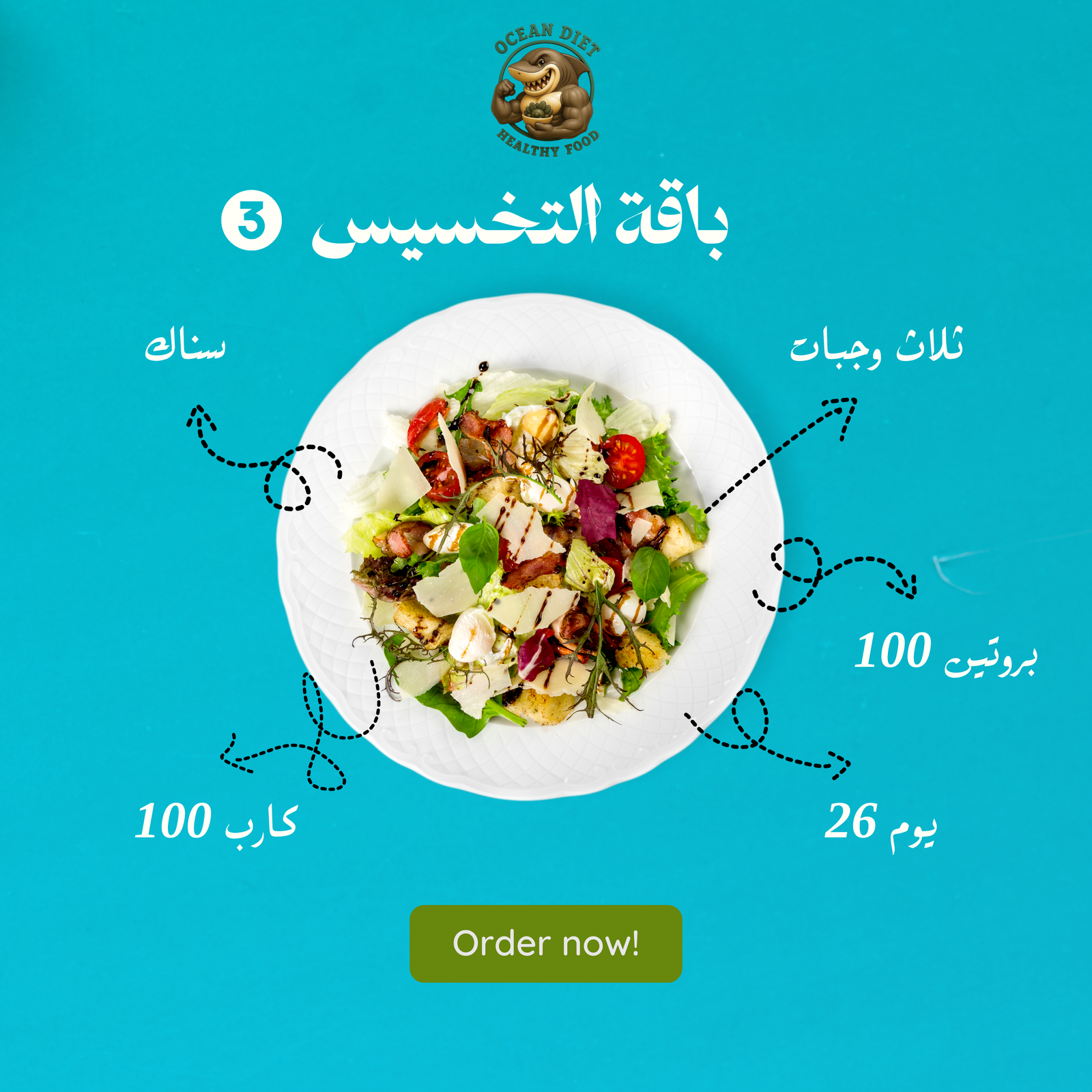 باقة التخسيس 3