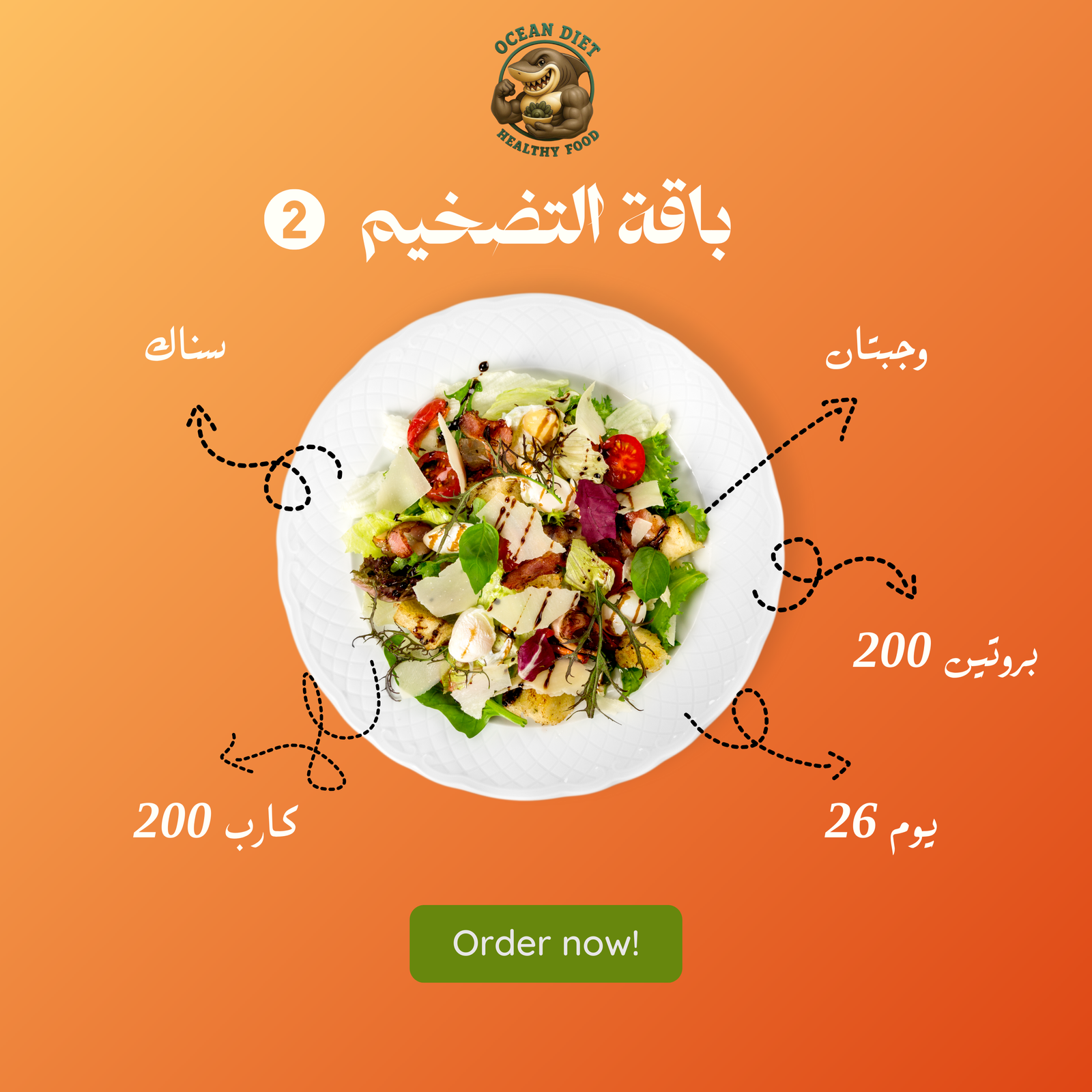 باقة التصخيم 2